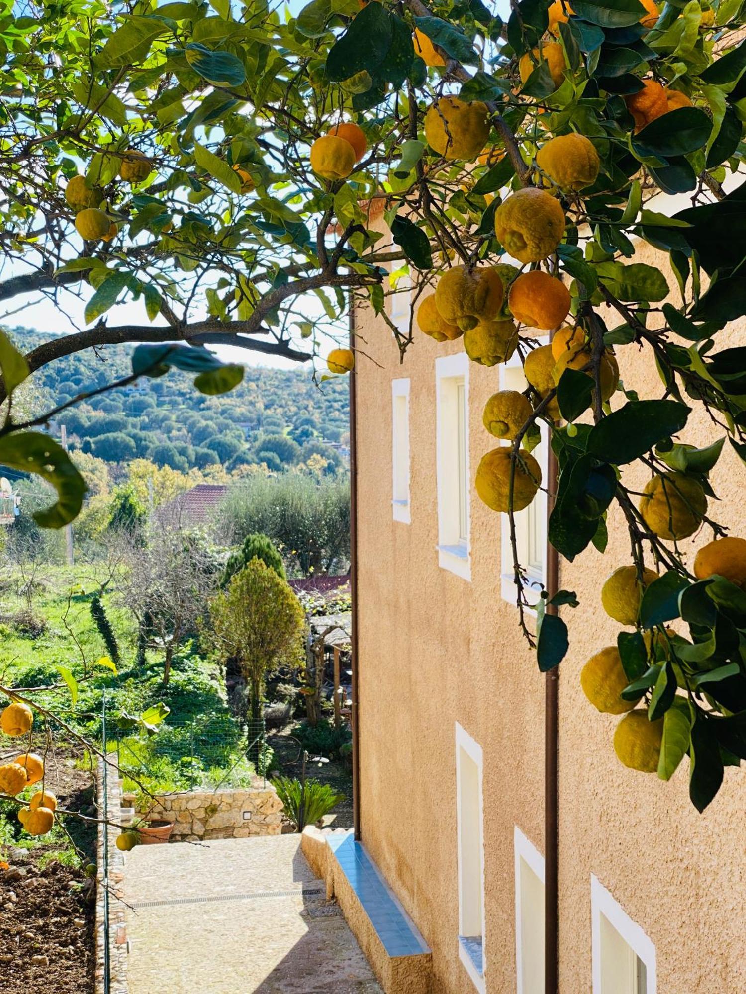La Locanda Del Curato Rooms Lentiscosa Luaran gambar